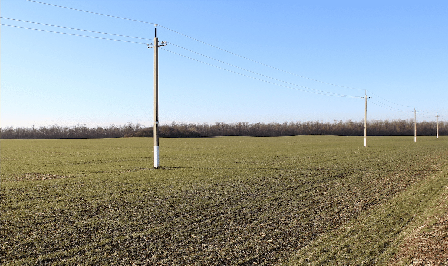 Picture of row of electricity poles in a field